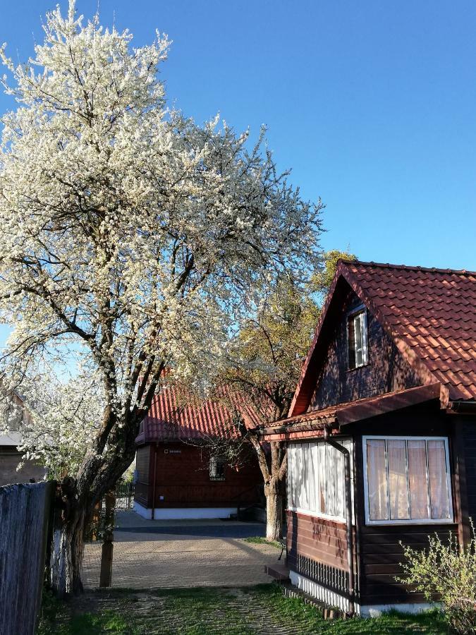 Domek Zapiecek Bialowieza Bagian luar foto
